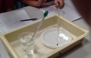 Investigation setup to test whether a larger surface area will cause the water to cool faster.